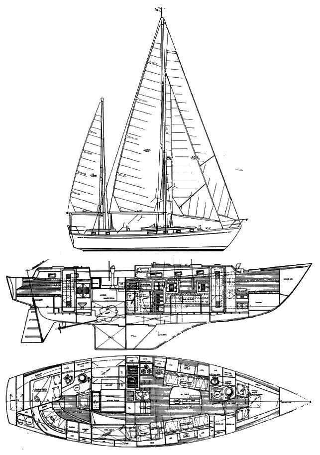 CAPE NORTH 43 - Drawing