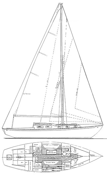 LUDERS 33 (ALLIED) - Drawing