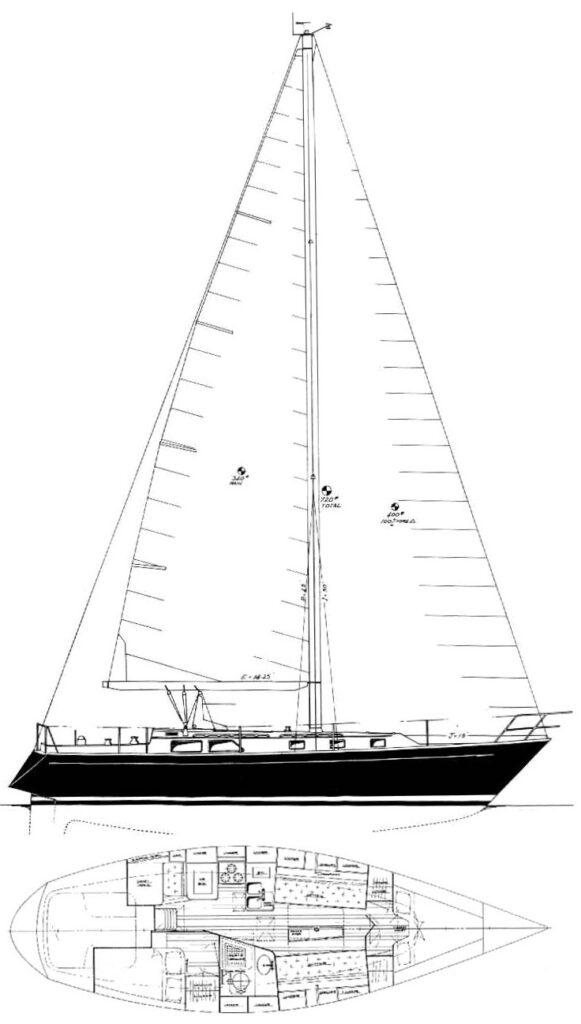 PEDRICK 38 (CHEOY LEE) - Drawing