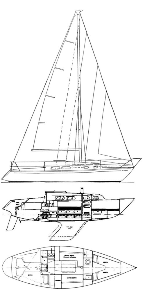 ELIZABETHAN 30 - Drawing