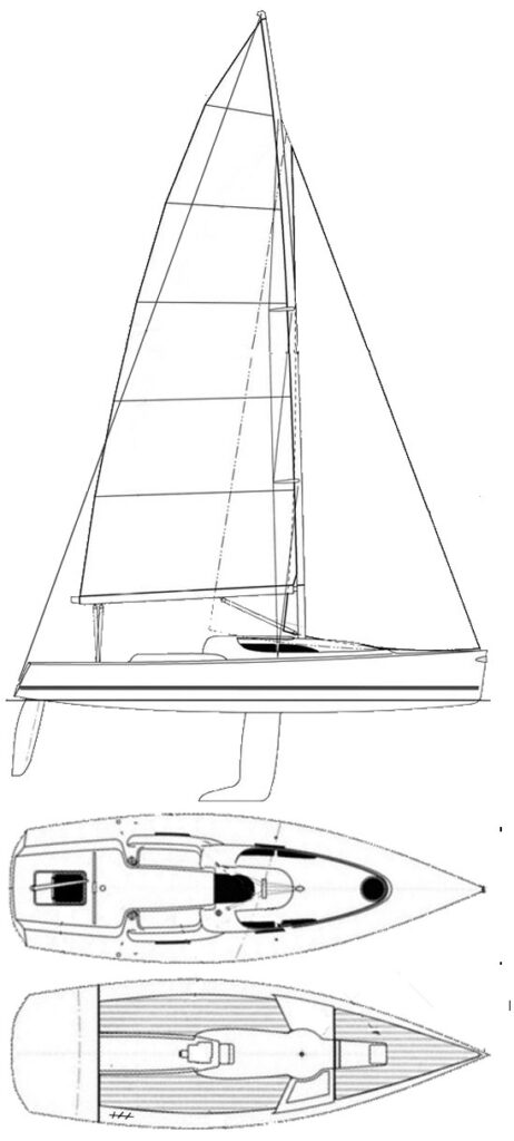GRAND SURPISE - Drawing