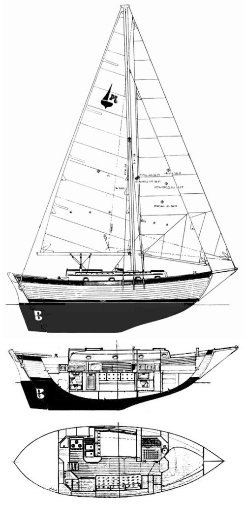MARIAH 31 - Drawing