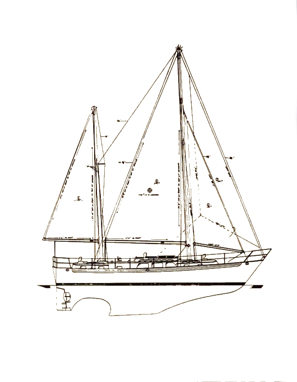 PASSPORT 45 (HOYT) - Drawing