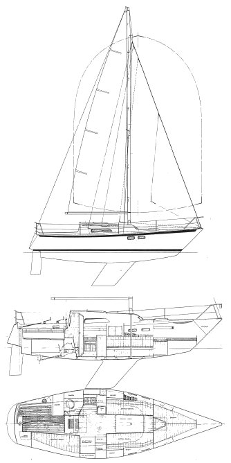 PION 30 - Drawing