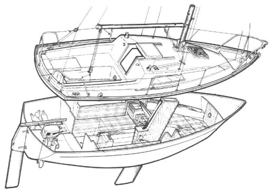 JAGUAR 21 - Drawing