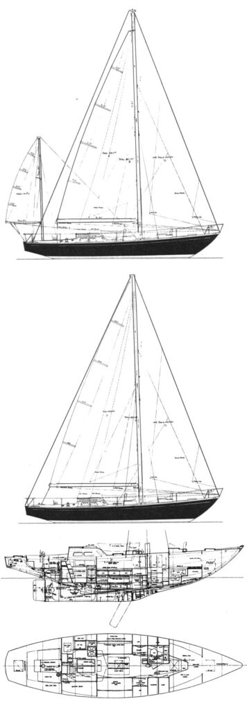 MERCER 44 - Drawing