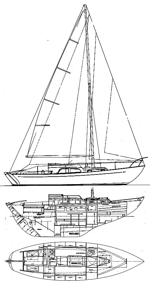 TRINTELLA I - Drawing
