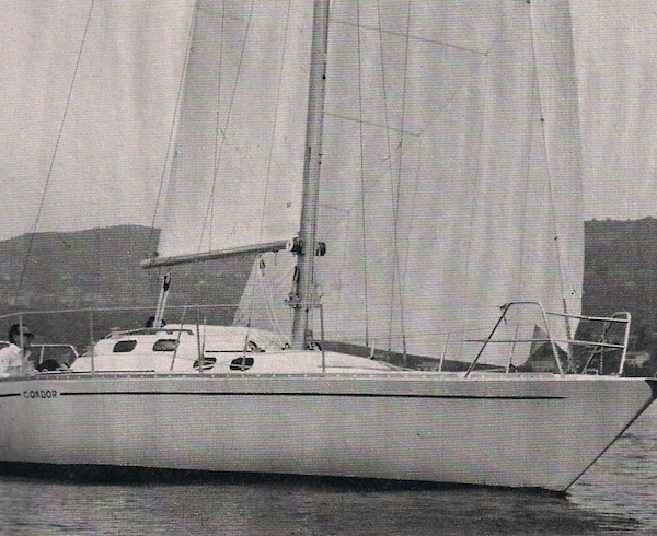 CONDOR 37 (BUIZZA)