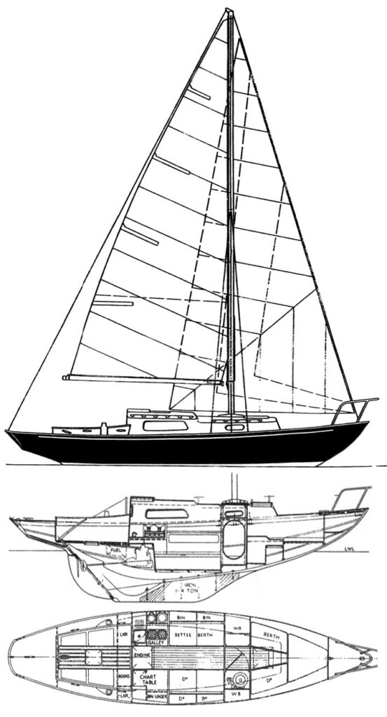 ELIZABETHAN 29 - Drawing