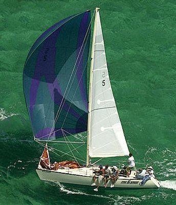 LINDENBERG 28 - Photo