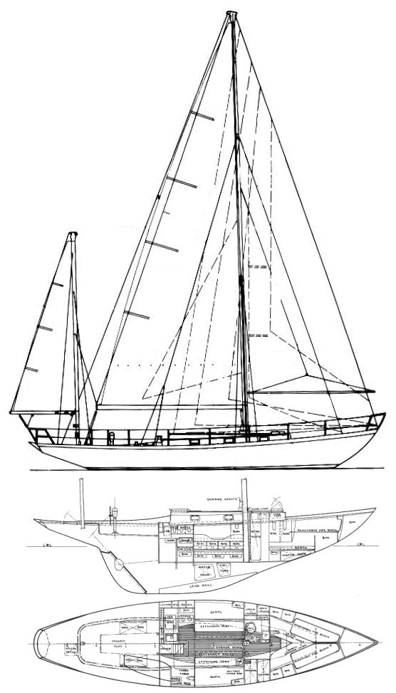 LUDERS 44 - Drawing