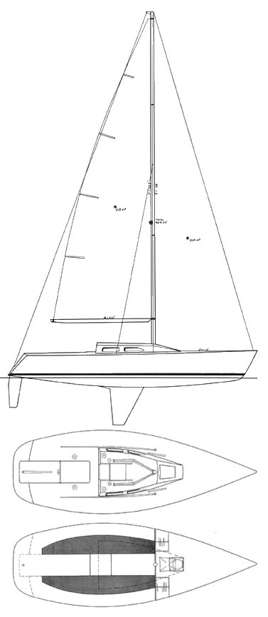 LINDENBERG 28 - Drawing