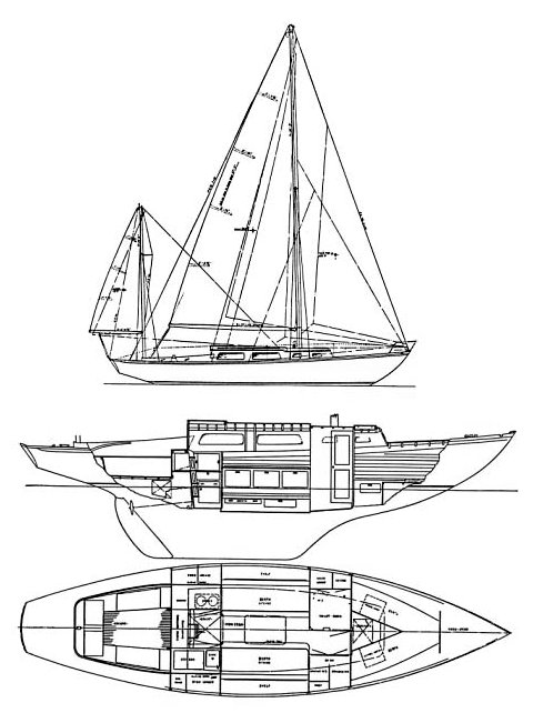 OHLSON 36 - Drawing