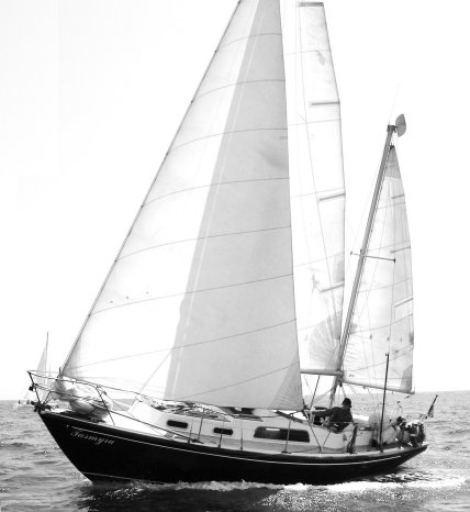 ELIZABETHAN 31 KETCH - Photo