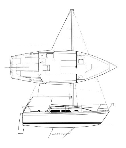 JAGUAR 25 - Drawing