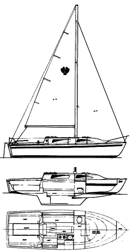 AMERICAN 26/27 - Drawing