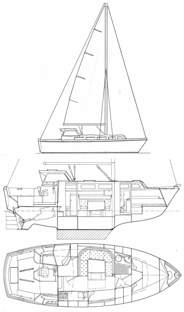 FIFTY 33 - Drawing