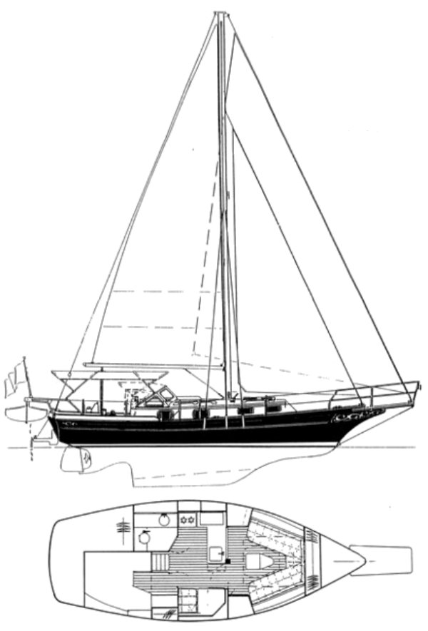 GOZZARD 31 - Drawing