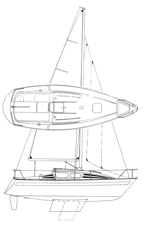 JAGUAR 24 - Drawing