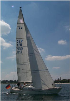 LUFFE 37 - Photo