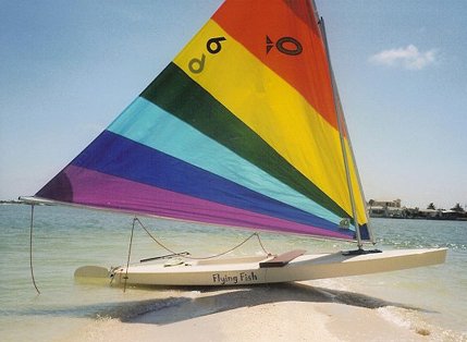 BIG FISH (ISLAND PACKET)