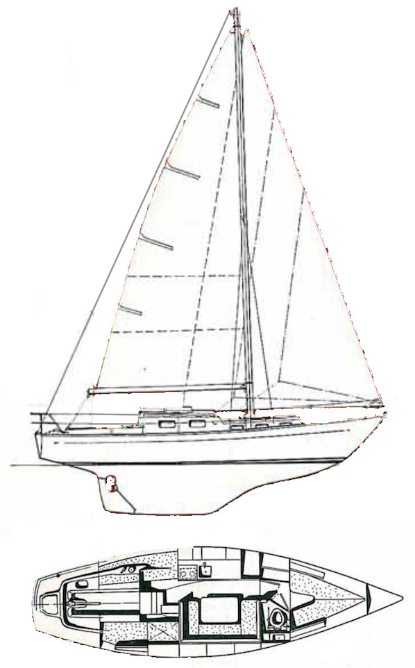 TRINTELLA II - Drawing