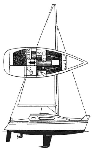 JAGUAR 265 - Drawing