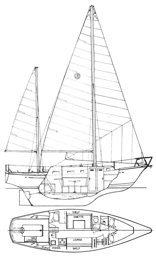 PRINCESS 36 (ALLIED) - Drawing