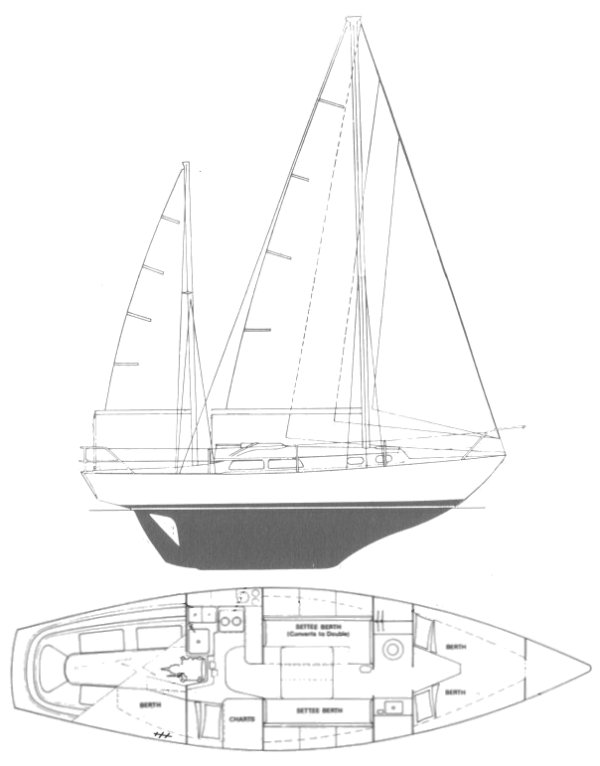 ELIZABETHAN 33 - Drawing