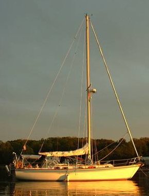 INTREPID 40 - Photo