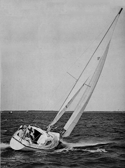 KING'S CRUISER 29 - Photo