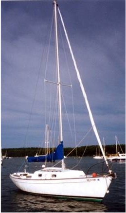 QUICKSTEP 24 - Photo