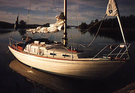 GREAT DANE 28 - Photo
