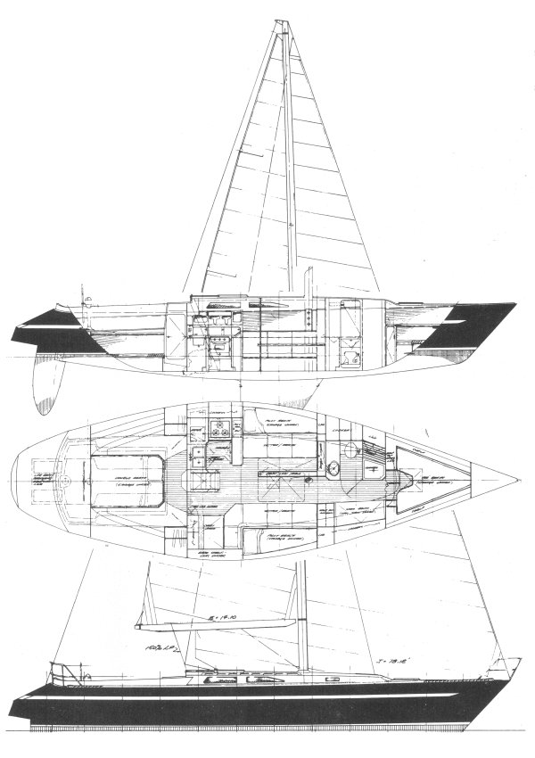NEW ZEALAND 45 - Drawing