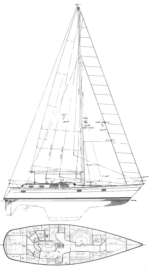 NORSEMAN 447 - Drawing