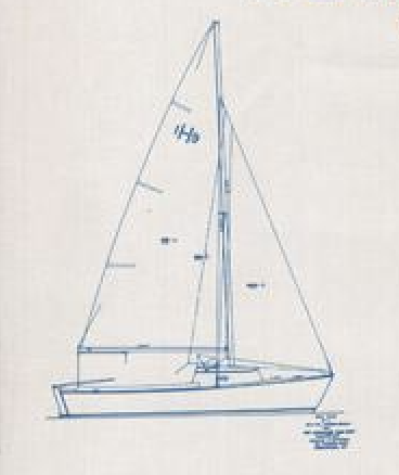 HERMANN 19 - Drawing