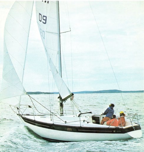 KING'S CRUISER 33 - Photo