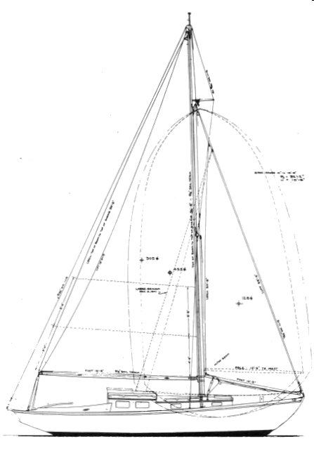 MALABAR JR. (1939) - Drawing