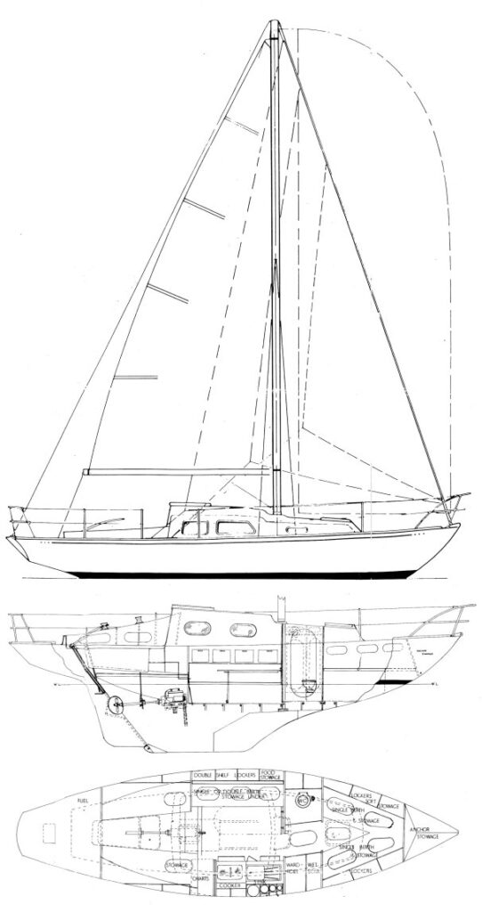MORGAN-GILES 30 - Drawing