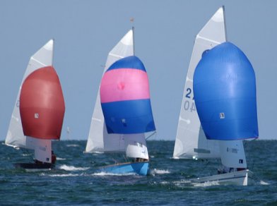 PACER - Photo