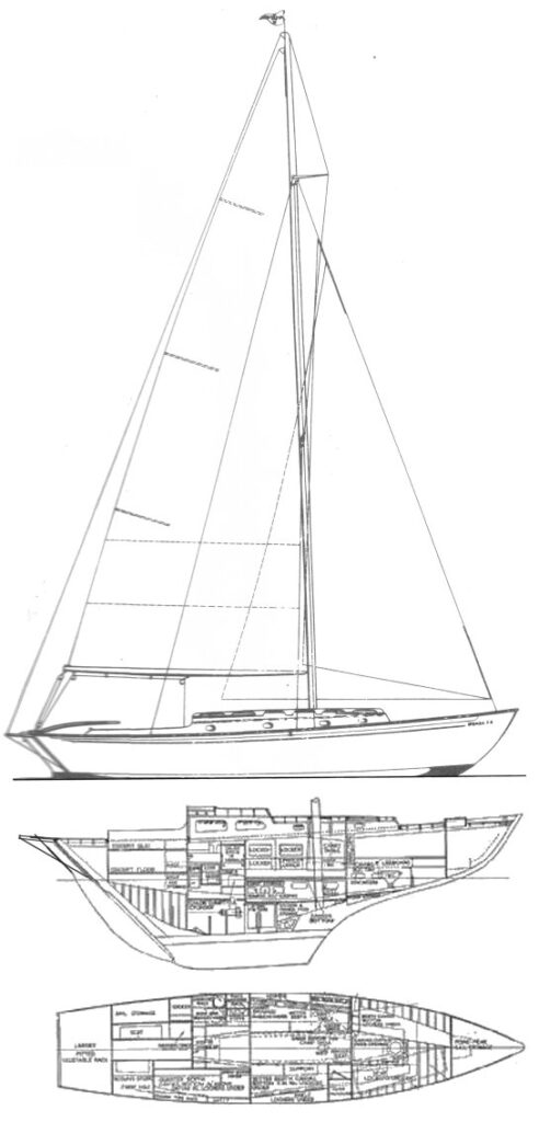 R.N.S.A. TWENTY-FOUR - Drawing