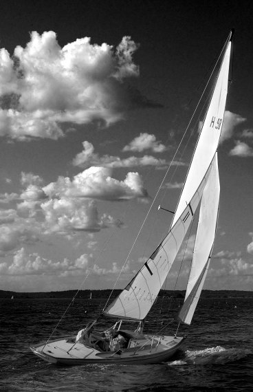 QUINCY ADAMS 17 - Photo