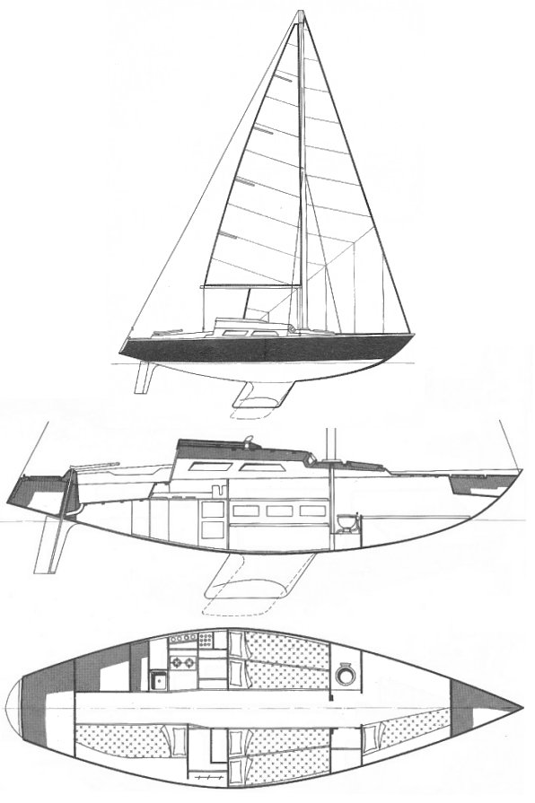 SUPER ARLEQUIN - Drawing