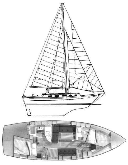 CABO RICO 34 - Drawing