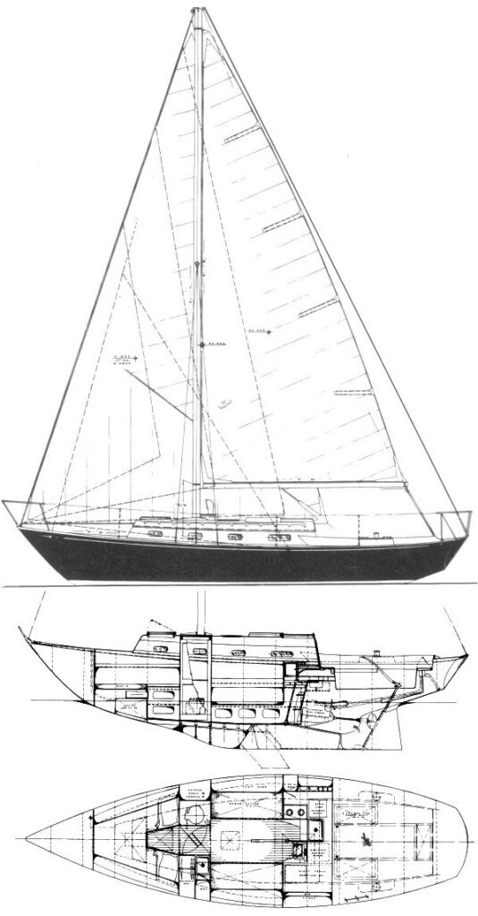 CORVETTE 31 (C&C) - Drawing