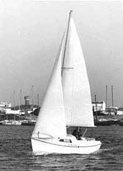 PIRANHA  17 (BENETEAU) - Photo
