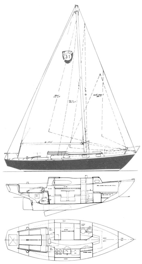 COLUMBIA 31 - Drawing