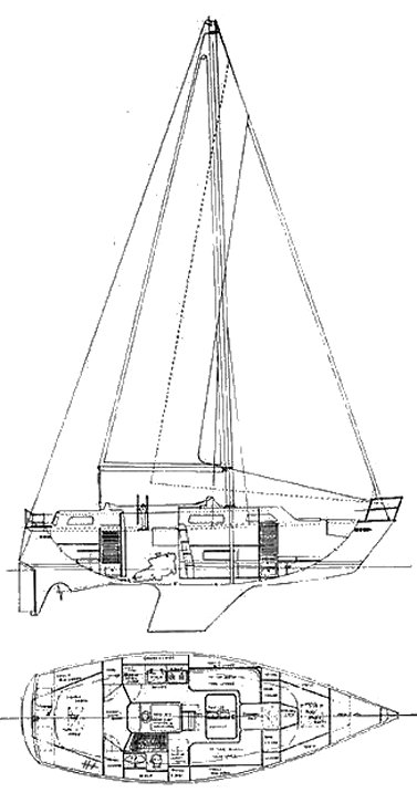FORMOSA 34 - Drawing