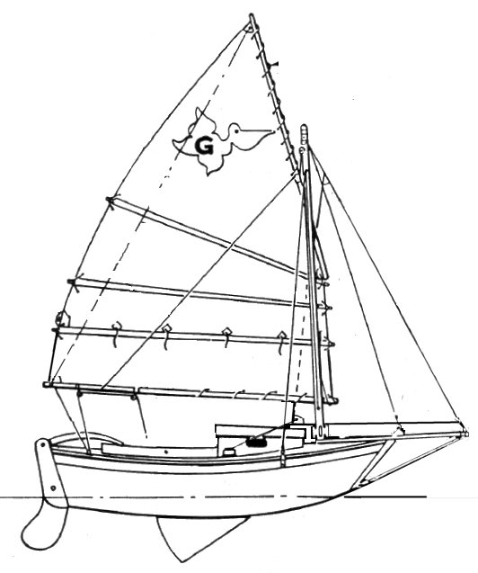 GREAT PELICAN - Drawing