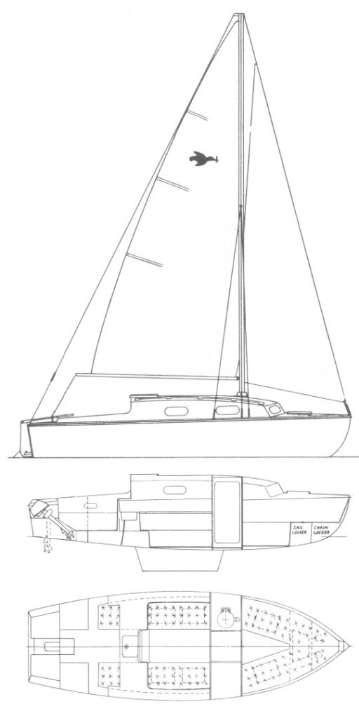 KINGFISHER 20+ - Drawing